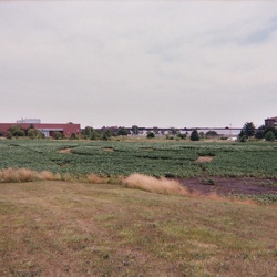 Various