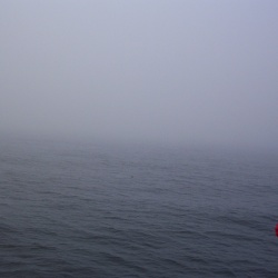 Whale-Watching-2