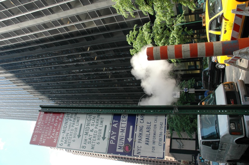 DSC 0544