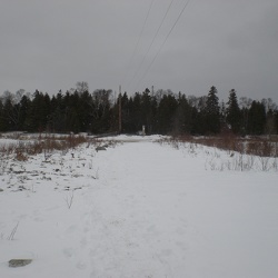 2010