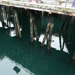 Portland and Seattle