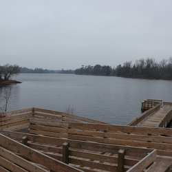 North-Woods