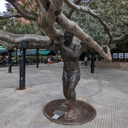 South America