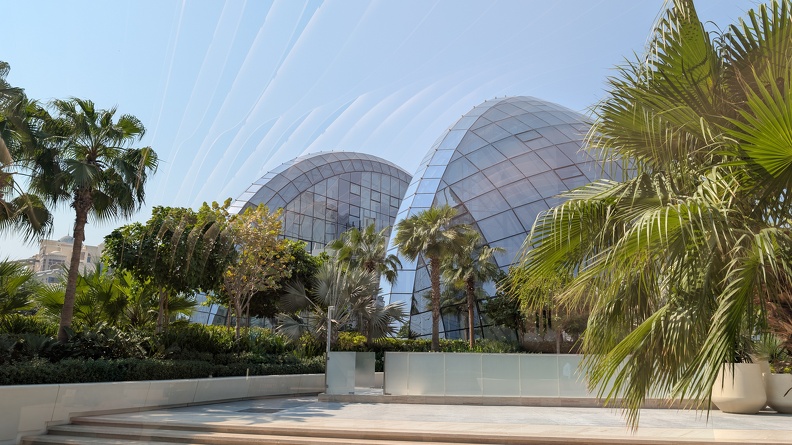 PXL 20251025 085357614.RAW-01