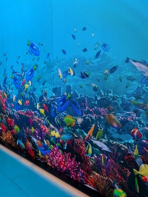 PXL 20251025 090814627